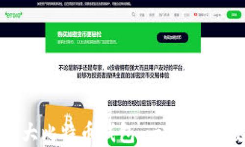 
如何高效管理和使用超大比特币钱包：一百多GB数据的处理与使用攻略